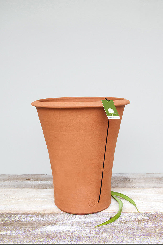Lilly Pot