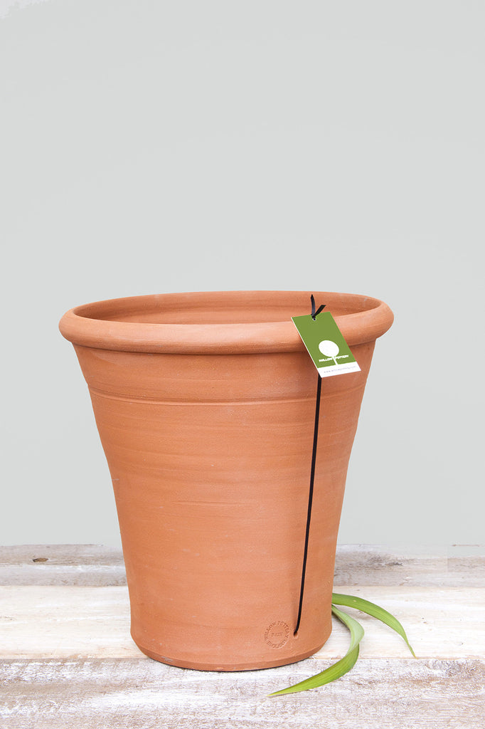 Classic Tall Terracotta Pot