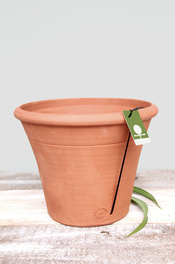 Classic Terracotta Pot