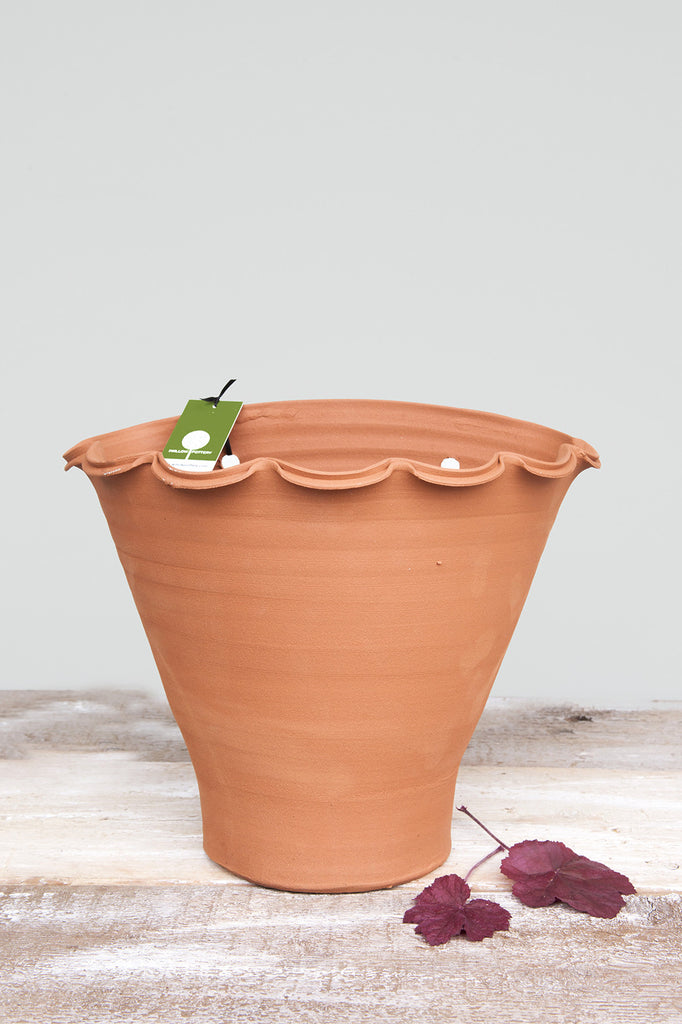 Scalloped Wall Pot