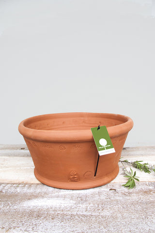 Terracotta Terrace Herb Pot
