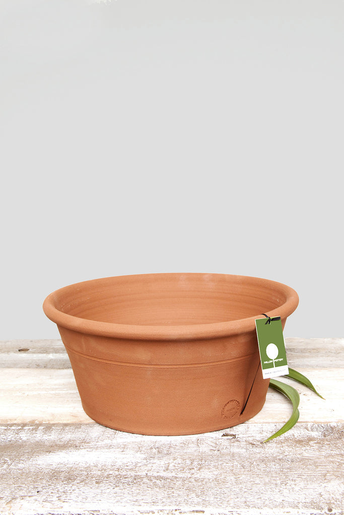 Terracotta Seed Pan