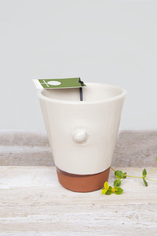 Small Glazed Plant Pot